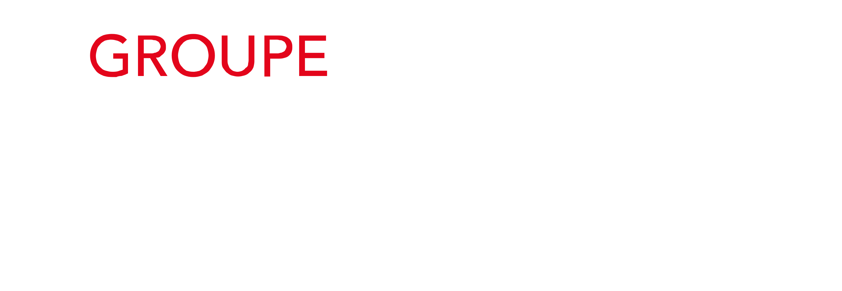 Principal Partner