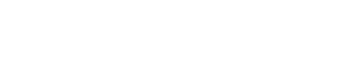 Silver Sponsor 1
